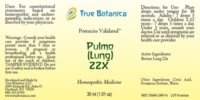 Pulmo (lung) 22x_30ml_v1 (1artboard 1@3x 100)